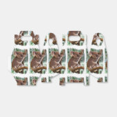 Koala Bear Geschenkschachtel (Ungefaltet)