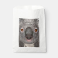Koala Bear