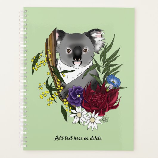 Koala Bear Green Planer (Vorderseite)