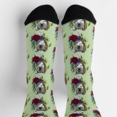 Koala Bear Green Socken (Oben)