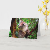 Koala Bear Grußkarte Karte (Gelbe Blume)