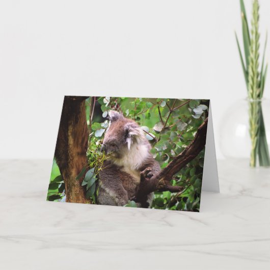 Koala Bear Grußkarte Karte (Vorderseite)