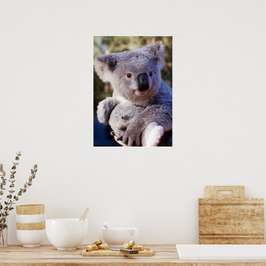 Koala Bear Holding a Koala Bear Poster (Küche)