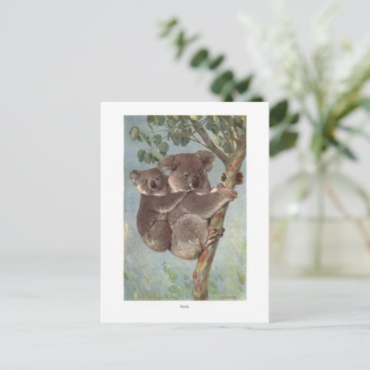 Koala Bear in Baumillustrierung Postkarte (Stehend Vorderseite)