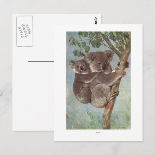 Koala Bear in Baumillustrierung Postkarte (Vorne/Hinten)