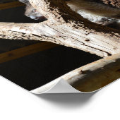 Koala Bear in Cubby House, Poster (Ecke)