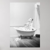 Koala Bear in einer Badewanne Poster (Vorne)