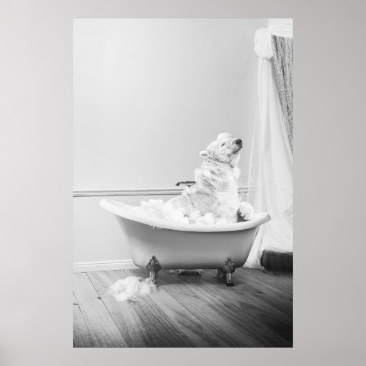 Koala Bear in einer Badewanne Poster (Vorne)
