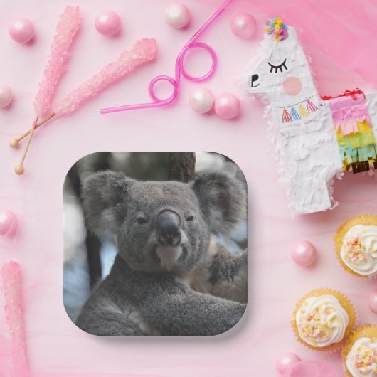 Koala Bear in Tree Pappteller (Party)