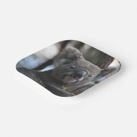 Koala Bear in Tree Pappteller (Gewinkelt)