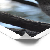 Koala Bear in Tree Poster (Ecke)