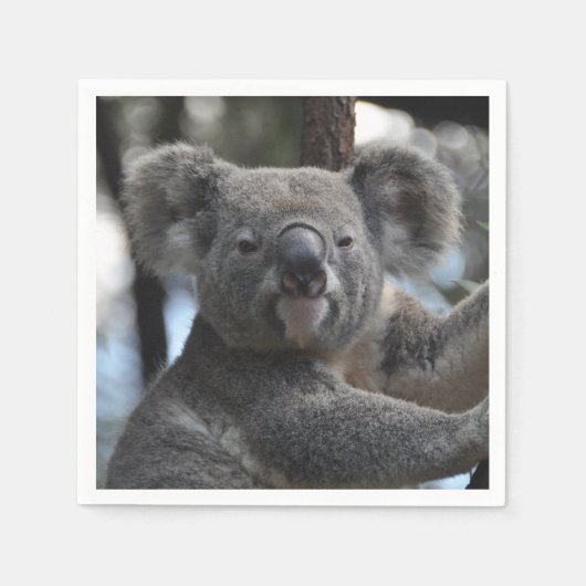 Koala Bear in Tree Serviette (Vorderseite)