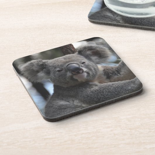 Koala Bear in Tree Untersetzer (Linke Seite)