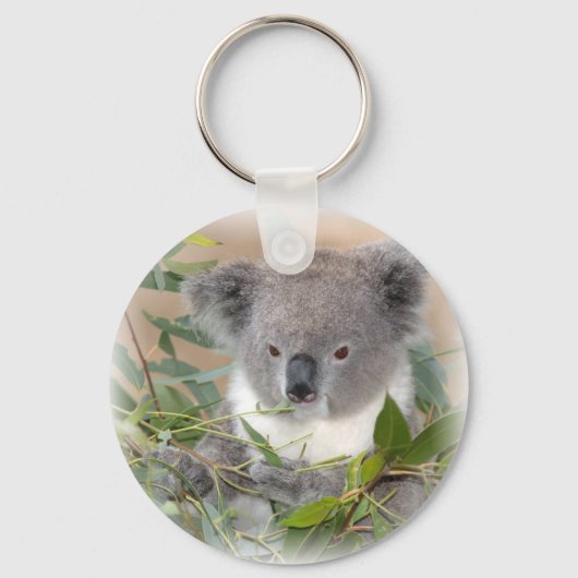 Koala Bear Keychain Schlüsselanhänger (Vorderseite)