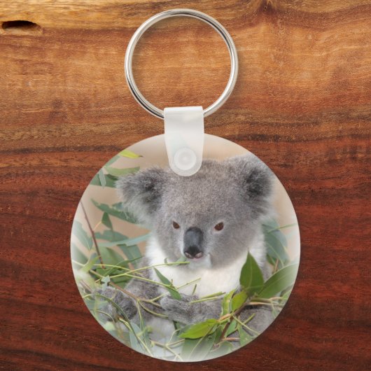 Koala Bear Keychain Schlüsselanhänger (Vorderseite)