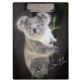 Koala Bear Klemmbrett (Vorderseite)
