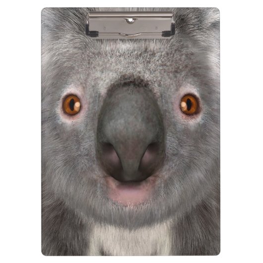 Koala Bear Klemmbrett (Vorderseite)