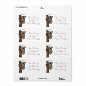 Koala Bear Kletterbaum Thunder_Cove (Vorne)