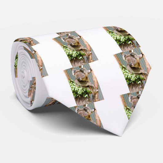 Koala Bear Krawatte (Gerollt)