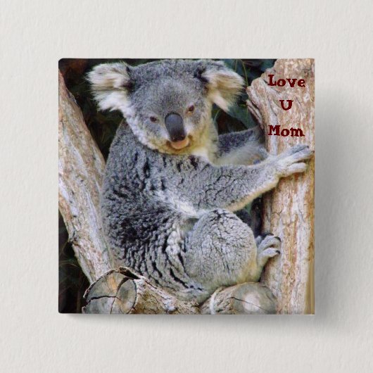 Koala Bear Liebe_ Button (Vorderseite)