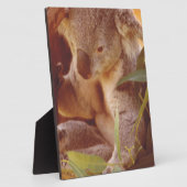 Koala Bear Liebe Fotoplatte (Seite)