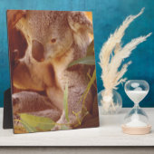 Koala Bear Liebe Fotoplatte (Seite)