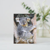 Koala Bear Liebe_ Postkarte (Stehend Vorderseite)