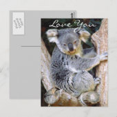 Koala Bear Liebe_ Postkarte (Vorne/Hinten)