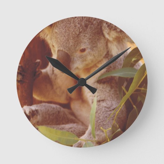 Koala Bear Liebe Runde Wanduhr (Vorderseite)