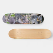 Koala Bear" Machen wir das"_Skateboard Skateboard (Horizontal)