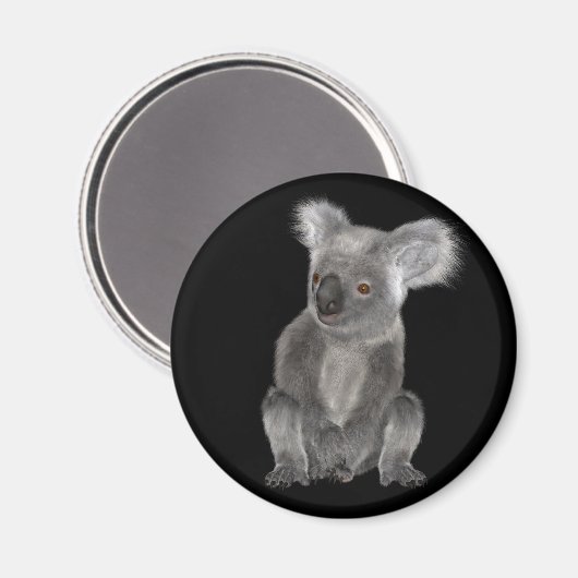 Koala Bear Magnet (Vorderseite/Rückseite)