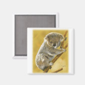 Koala Bear Magnet (Vorderseite/Rückseite)