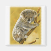Koala Bear Magnet (Vorne)