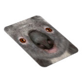 Koala Bear Magnet (Rechte Seite)