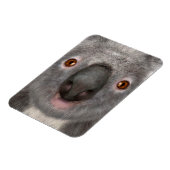 Koala Bear Magnet (Linke Seite)