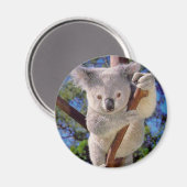Koala Bear Magnet (Vorderseite/Rückseite)