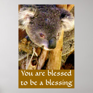 Koala Bear & Message_ Poster