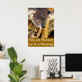 Koala Bear & Message_ Poster (Heimbüro)