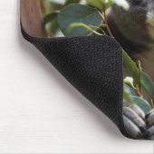 Koala Bear Mousepad (Ecke)