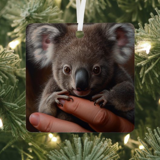Koala Bear Ornament Aus Metall (InSitu)