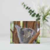 Koala Bear Postcard Postkarte (Stehend Vorderseite)