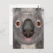Koala Bear Postkarte (Vorne/Hinten)