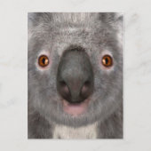 Koala Bear Postkarte (Vorderseite)