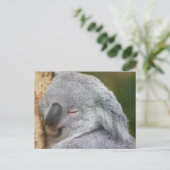 Koala Bear Postkarte (Stehend Vorderseite)