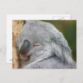 Koala Bear Postkarte (Vorne/Hinten)