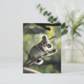 Koala Bear Postkarte (Stehend Vorderseite)