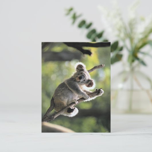Koala Bear Postkarte (Stehend Vorderseite)