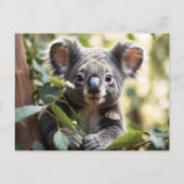 Koala Bear Postkarte (Vorderseite)