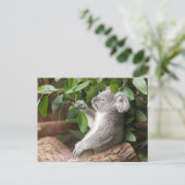 Koala Bear Postkarte (Stehend Vorderseite)