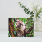 Koala Bear Postkarte (Stehend Vorderseite)
